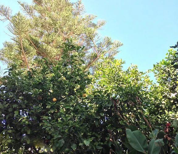 Helliniko (adults Only) 호텔 Páros