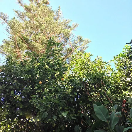 Helliniko (adults Only) Отель Парос